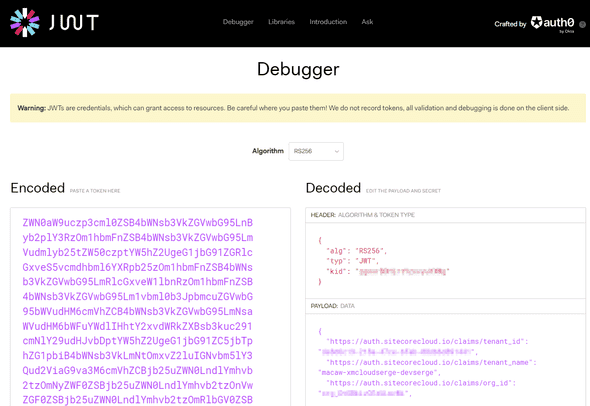 Decoded Payload Data